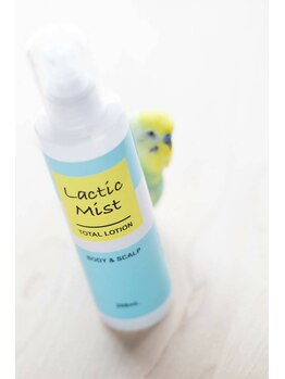 美々百 健軍店/こだわり抜いたものだけを