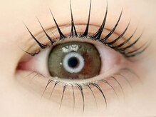 フェリーチェビューティー 大宮西口店(felice BEAUTY)/大宮/まつげパーマ/眉毛ワックス