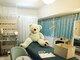 整体アンド矯正 施術研究所 ケアラボ(carelabo)の写真