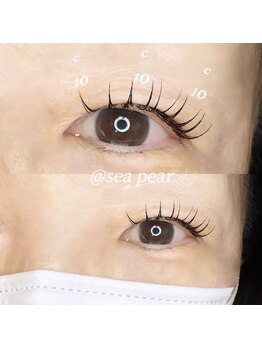 シーペアー(Sea pear)/フラットラッシュ120本