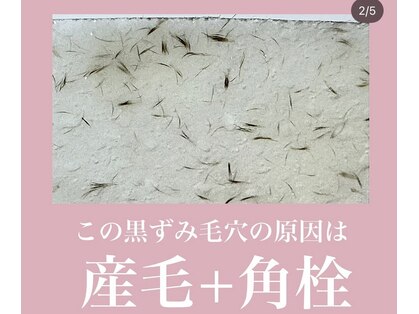 ベアトリーチェ 五反田(Beatrice)の写真