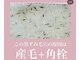 ベアトリーチェ 五反田(Beatrice)の写真