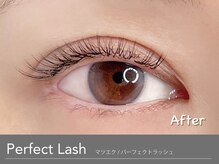 アンモス 日本橋店(Ann Moss)/マツエク/ナチュラルデザイン