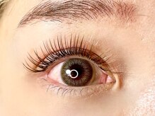 椛(momiji)/Wフラットラッシュ100束