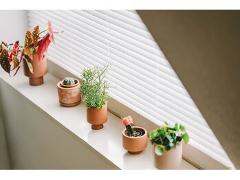 ウェンセン 薬院店(Wensen.)/沢山の窓とグリーン