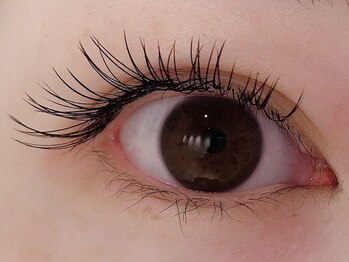 カラン 焼津店(CALIN)/フラットラッシュ140本