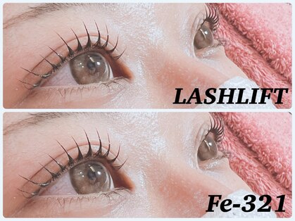 エフイーサンニーイチ(Fe-321)の写真