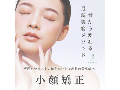 ターン(TERN)の写真