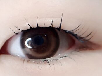 チュリップサカエ(Tulipe sakae)/一重まつげパーマ