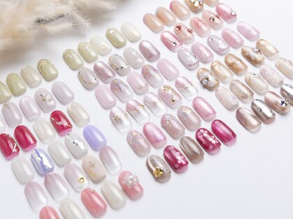 ボニータ(Bonita)の写真