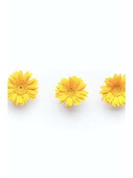 ラ コワフュール デュ エピ/＊スタッフ＊