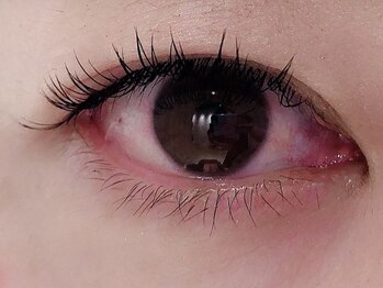 カラン 焼津店(CALIN)/フラットラッシュ140本