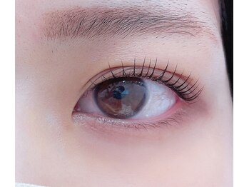 サホウ(SAHO)/根本からしっかり立ち上げ