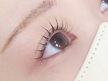 シエナ(ciena)/《デザインラッシュリフト》