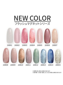 はあとねいる 千葉駅前店の写真/ワンカラー/ラメグラがALL3850円♪トレンドのマグネットも選べるお手頃定額制ネイル♪