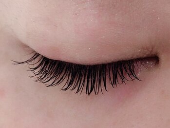 カラン 焼津店(CALIN)/フラットラッシュ140本