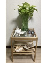 ブレッシングス(BLESSINGS)/8月のディスプレイ