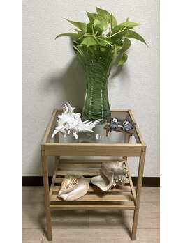 ブレッシングス(BLESSINGS)/8月のディスプレイ