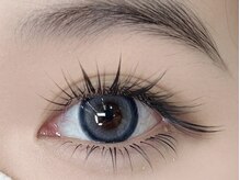 AMK/ワンホンタレ目