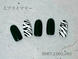 ハンド定額プライマリーコース