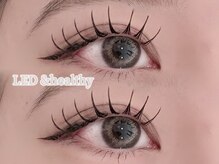 アイスタイル 仙台店(EYE STYLE)/LEDアンドヘルシー