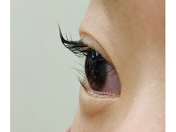 ベル(Bell)/ビューラー使用