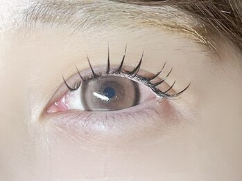 コム 草加マルイ店(com by neolive)/フラットラッシュ付け放題担当坪