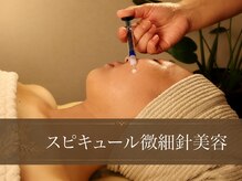 ジュプン バリ 和(Jepun Bali nagomi)/スピキュール微細針美容