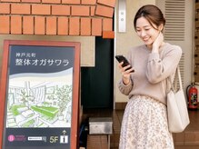 整体オガサワラの雰囲気（違和感を後回しにせずケアすることで毎日を元気に乗り切れます）