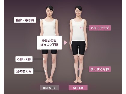 パピヨン(papillon)の写真