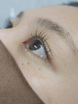 私のビューティー/まつげカール上下