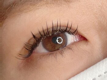 ラシク ベル(Lashiku Belle)/フラットラッシュ120