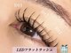 アンドナイン(AND NINE)の写真/《低刺激×圧倒的な持ちの良さが魅力★LEDフラットラッシュ》水やオイルにも強いグルーで扱いやすさ◎