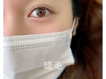 981/（パーマ/眉）まつぱ＋眉毛