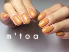 フィルイン/ワンカラー/シンプル