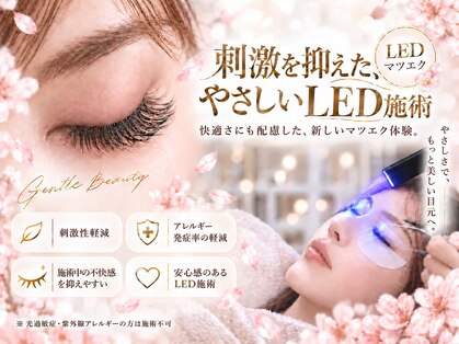 クレビア(CREBIA)の写真