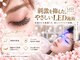 クレビア(CREBIA)の写真