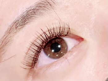 ブリッジバイネオリーブ 綱島店(bridge by neolive)/ボリュームラッシュ400本