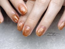 アイヴィー(IVY)/マグネットニュアンスネイル