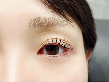 まつげエクステ専門店 ヴィーナスラッシュ 新宿店(Venus Lash)/まつ毛パーマ(上下)