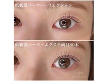 ロープ(Lope)の雰囲気（経験・知識・感覚の全方向から最適なデザインをご提案致します♪）