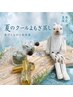 【夏季限定】クールよもぎ蒸し★爽快感.夏バテ.冷房冷え対策クールコース30分