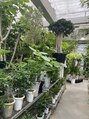 ネオリーブ ジューク 日吉店(Neolive JuQ) お休みの日は植物を探しに園芸店巡りしてます。