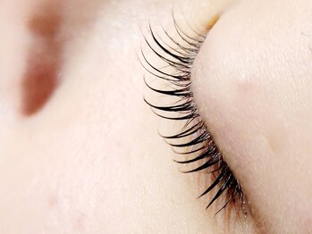 メルク(MELK)/カールデザイン