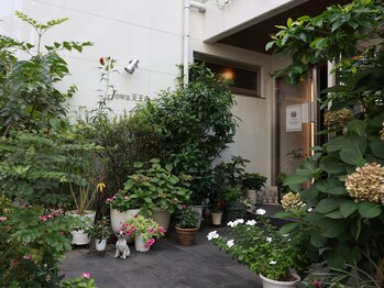 夢みるよもぎ蒸し 天王寺店/花と植物いっぱいのエントランス