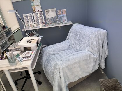 アリ(ARI)の写真