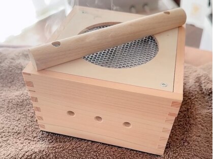 カナデ(kanade)の写真