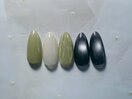 定額/シンプルコース