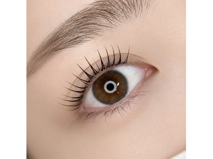 ディトアイラッシュ(ditto/.eyelash)の写真