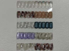 season定額